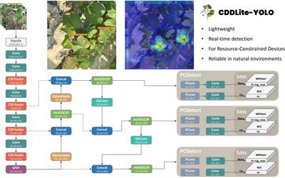 Lightweight cotton diseases real-time detection model for resource-constrained devices in natural environments